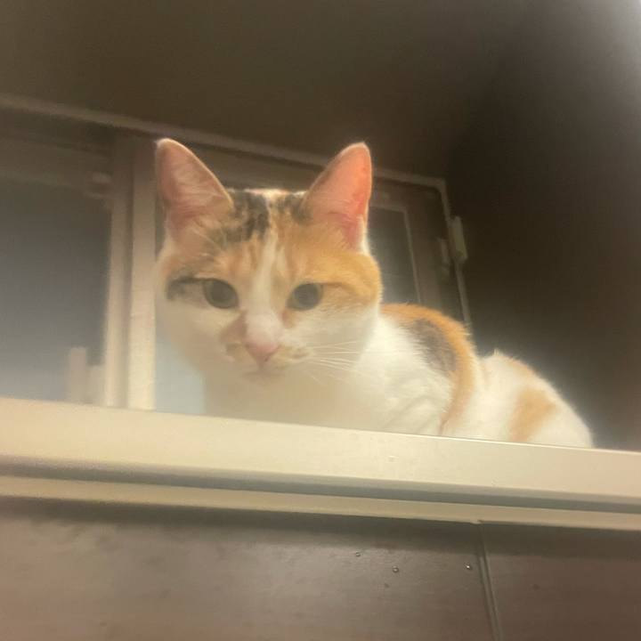 8c29916d c2dd 494f 8258 0aaac8655898 1621686614451