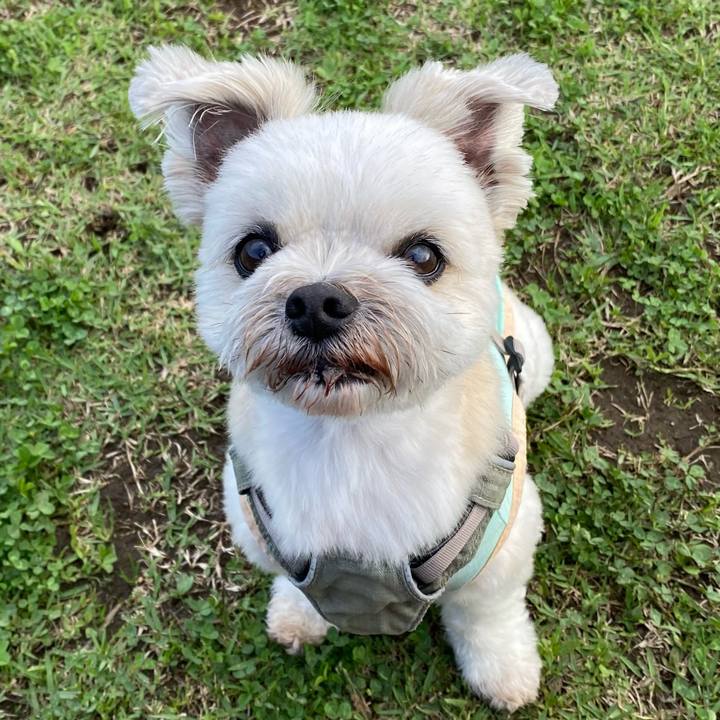 8c29d646 53da 4de3 ab4b ccbd06b5072b 1685863133210