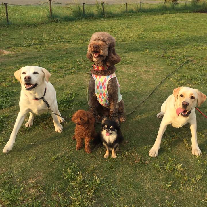 8c29d929 f7fc 4c44 86fd a5ec33ec55ef 1559397478189