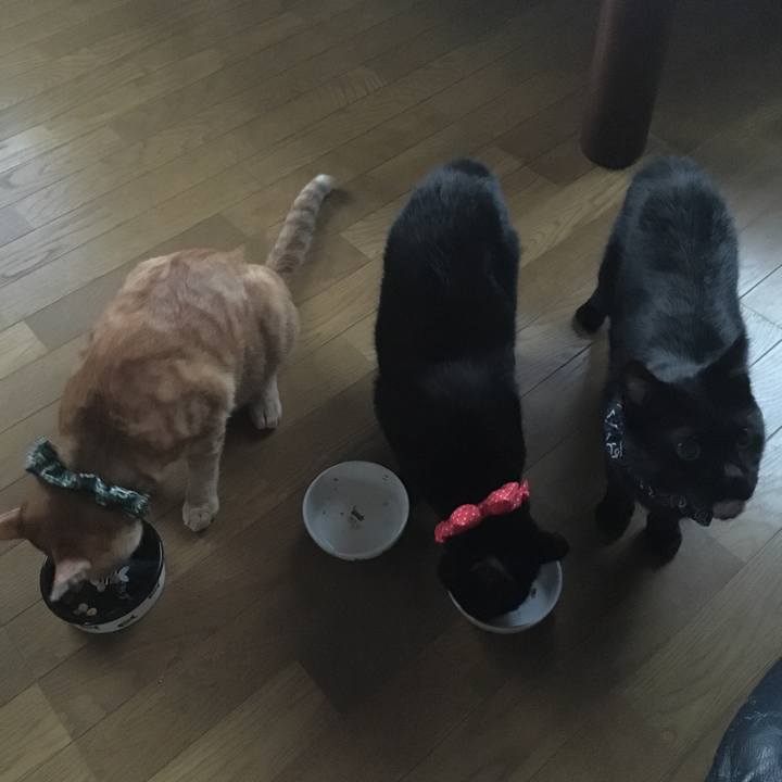 8c29e5e6 d473 4108 9e00 b95b1f6cec9c 1536225381575