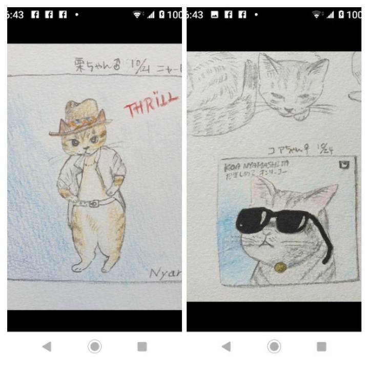 8c2a1032 3367 4e93 b843 01c2216f3ca2 1603784938829