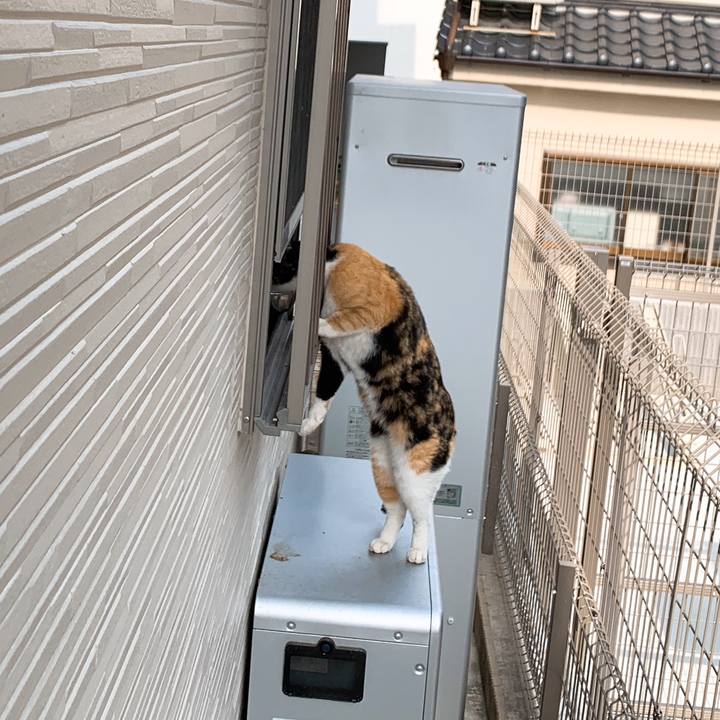 8c2a1e03 ea9b 4394 a18b cea7e12b1e30 1553851123747