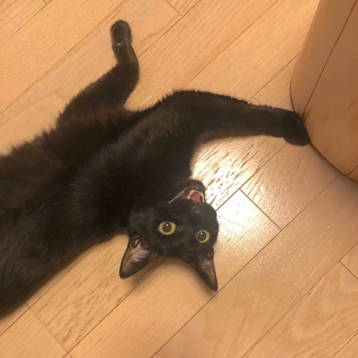 8c2a2981 d51e 443d b4e4 9222483fd07d 1562587277659