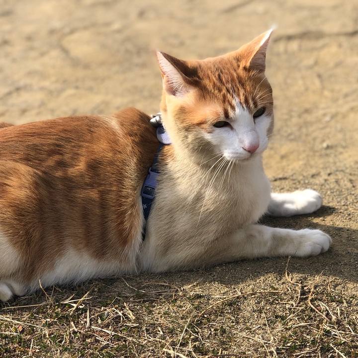 8c2a4d5e c6e0 41c8 89cc 501b5bfe6a64 1551260250366