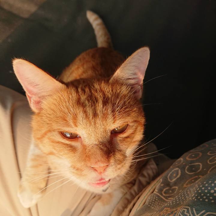 8c2a5b83 41f6 46b5 8c7b ea46bacd9aa9 1564952035368