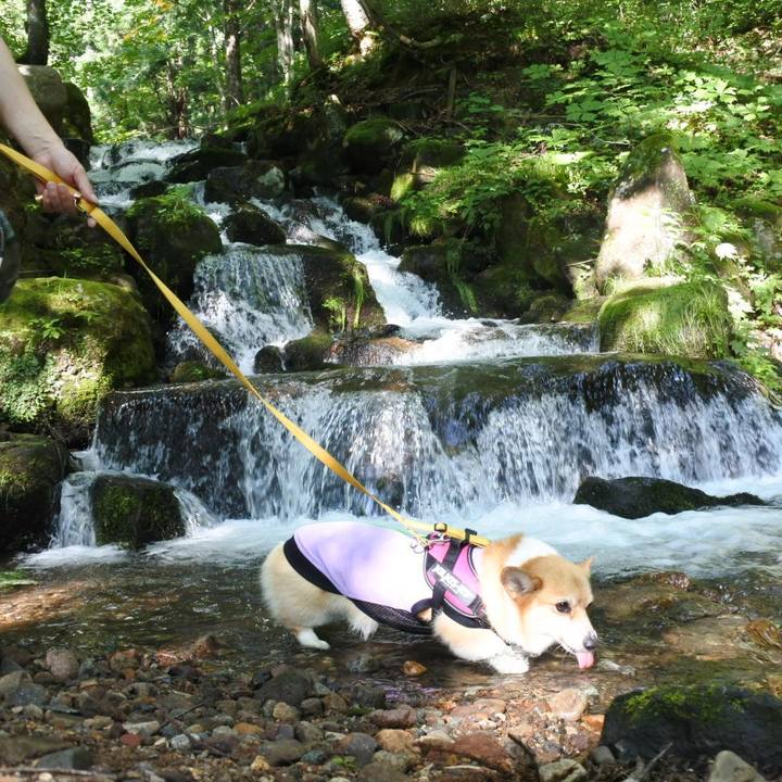 8c2a6ca9 f593 4e3b ba08 6f963acf820e 1659968550482