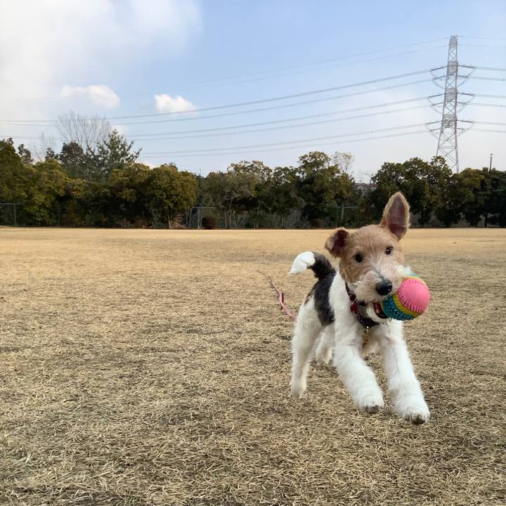 8c2a8663 b30e 4570 9a06 e08bf8c82e6f 1769251781830