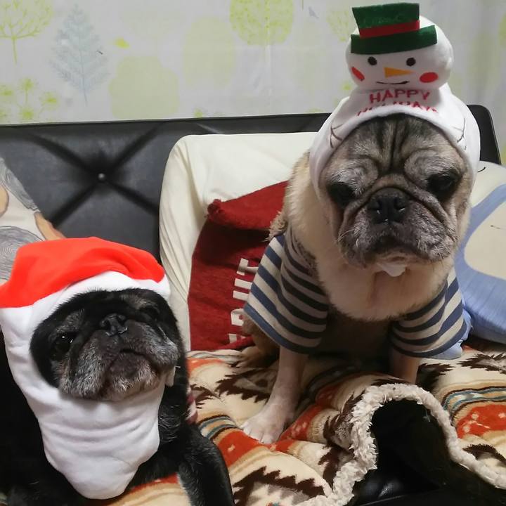 8c2adcf3 cb2f 4692 b050 c853807ac5c5 1513864661784