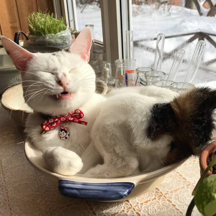 8c2b0361 f743 40ee 9cdc aa682fb60724 1548553596564