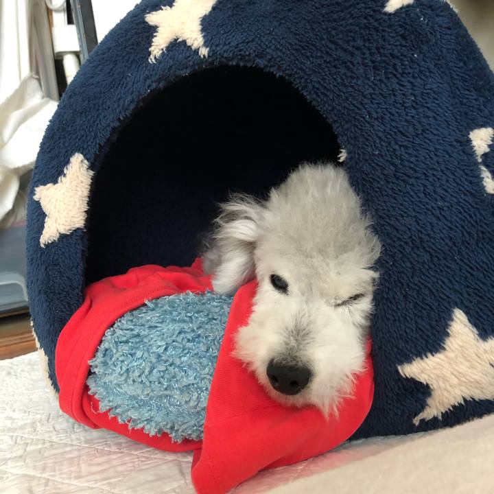 8c2b20cd a32d 4d79 a999 9bb94c629093 1627342188001