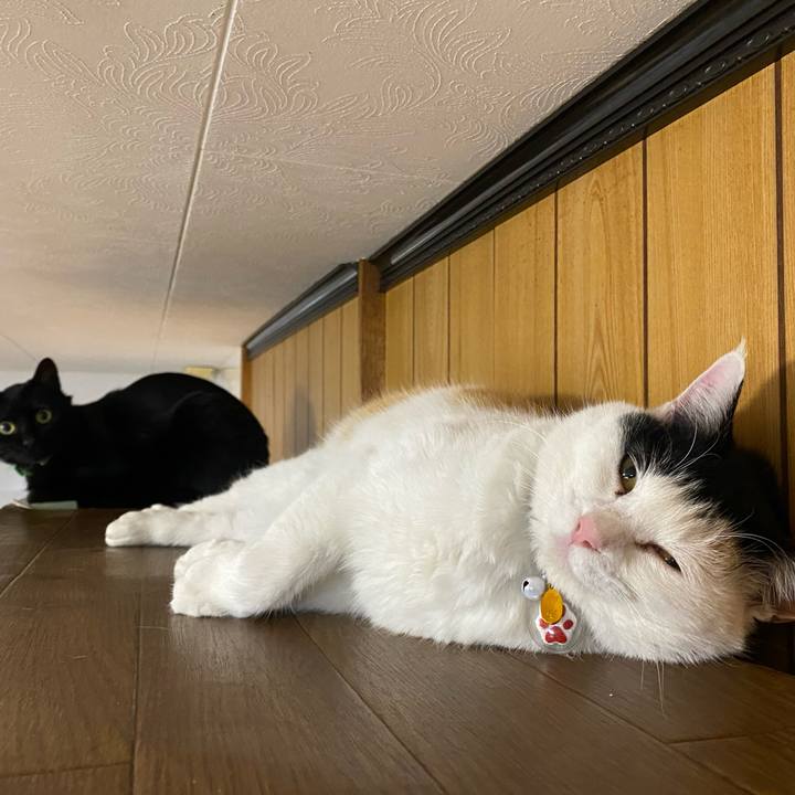 8c2b3ea6 791d 411b 8943 cadaf5105e40 1646435837004