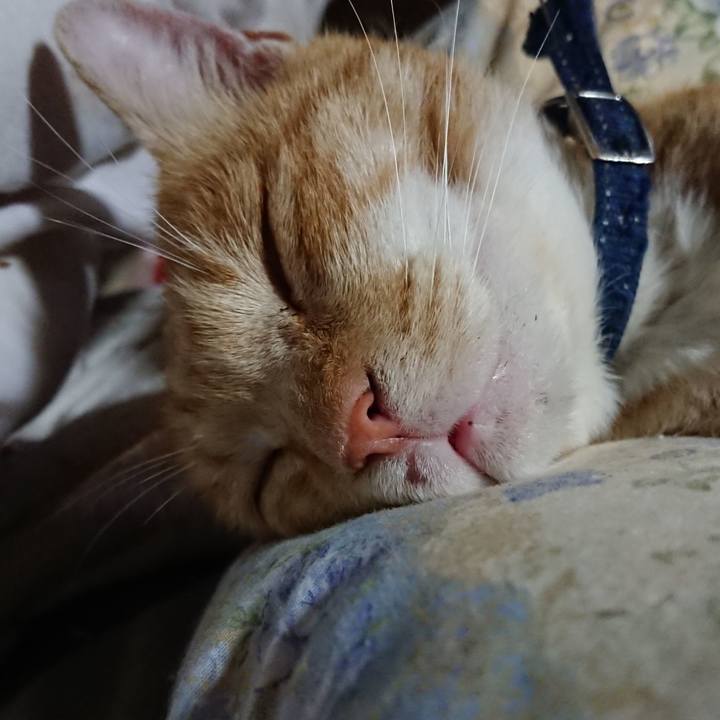 8c2b67f4 a180 4277 94f7 efb3194f626d 1562938937794