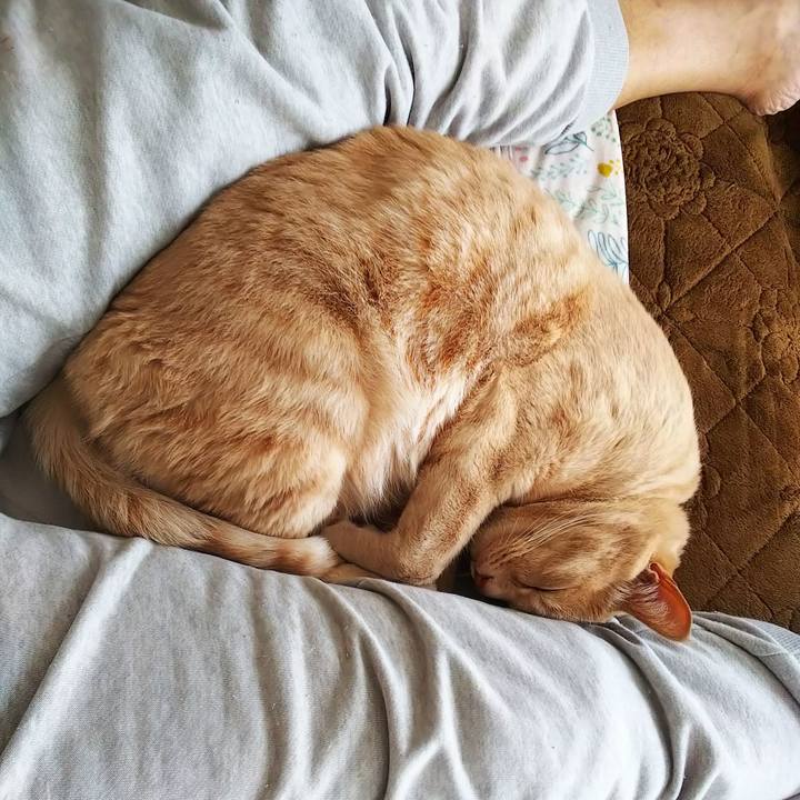 8c2b9987 cc04 43ac 8dd3 54f2f8ef3ead 1620516024401