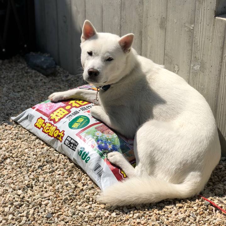 8c2bf65c 72ee 4c0a bf5c f9ce55016653 1554300336290