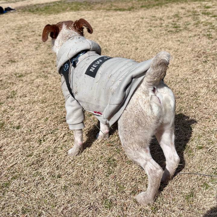 8c2bf835 9d37 4512 a235 2fe64d63fd48 1739693732769