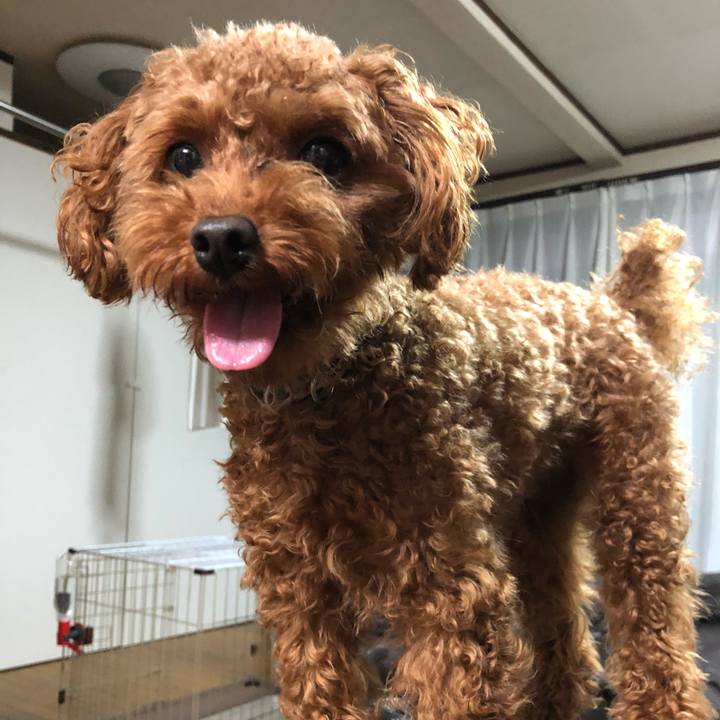 8c2c15b6 5ba1 4273 bb83 08ad8f07a9d5 1527673144077