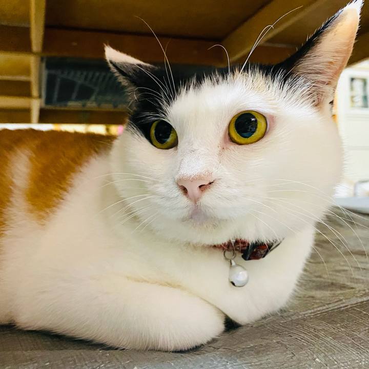 8c2c26e9 68c9 4655 bdf6 26b5c715c125 1689951133965