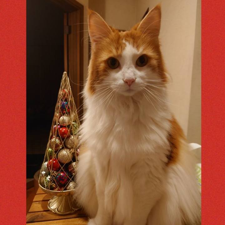 8c2c310a 3c2e 4669 b7e6 48303ab3cf7e 1636020817483