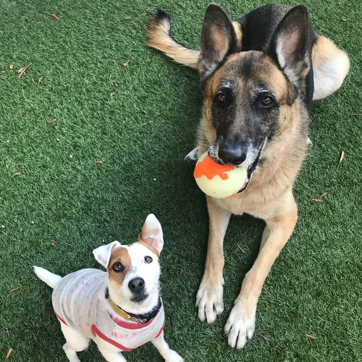 8c2c36c3 835d 417d 8731 6281ca5afe33 1519943318819