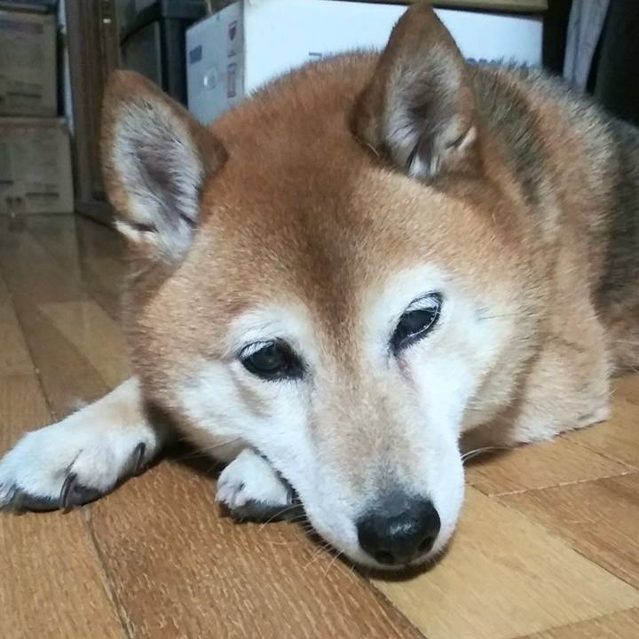 8c2c5749 76aa 4393 b7c8 113eb4929d3c 1623410137920