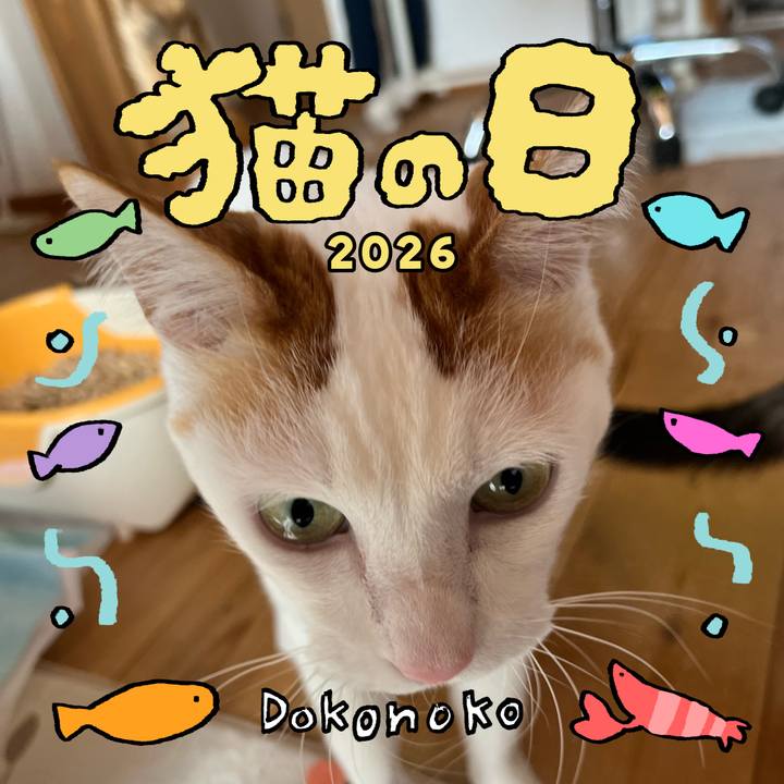 8c2c9021 8971 4f9d 8c7a 5e722969cd09 1771735292285