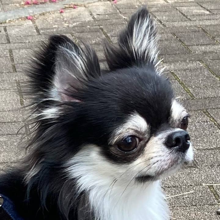 8c2cbff7 033c 40a7 8448 9aeceb7d6260 1633752822880