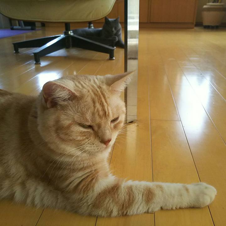 8c2cfddf 891e 4abe ac4c a0b447053789 1532922139550