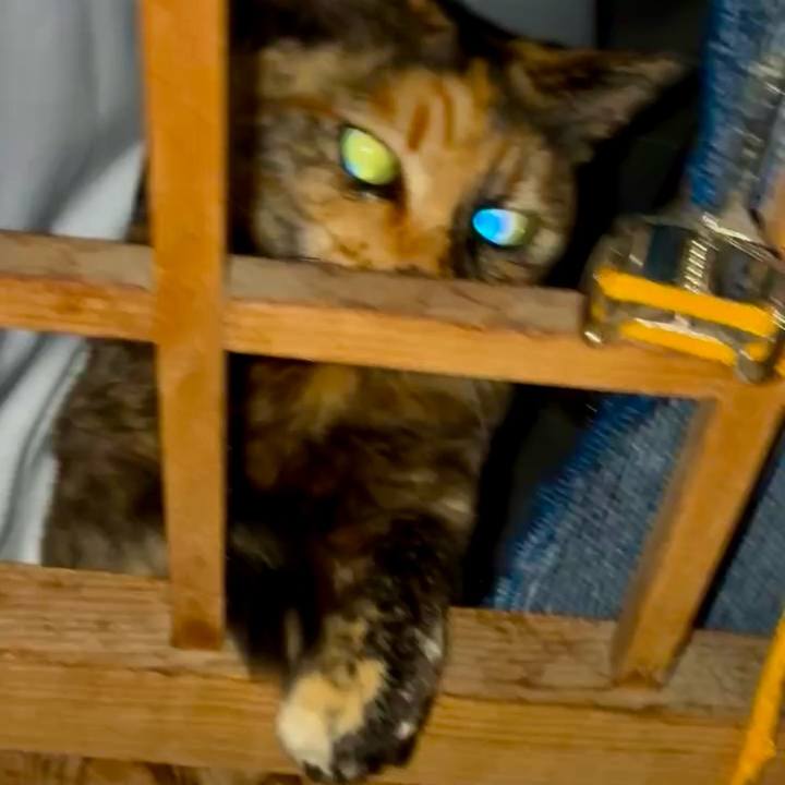 8c2d188d 4313 4c6f b082 529d441f82b0 1744752753386