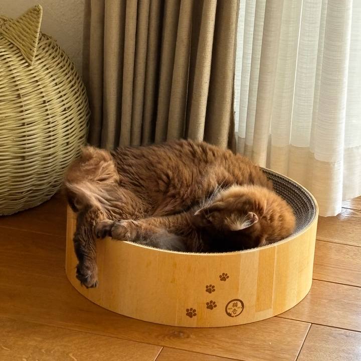 8c2dbe0b a38a 4502 901a 7e835500c415 1753666603698