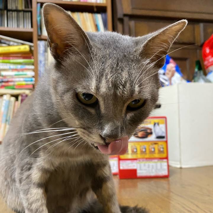 8c2dbe6e 34bb 4dde b2a0 08e3a9cab3f3 1600044504793