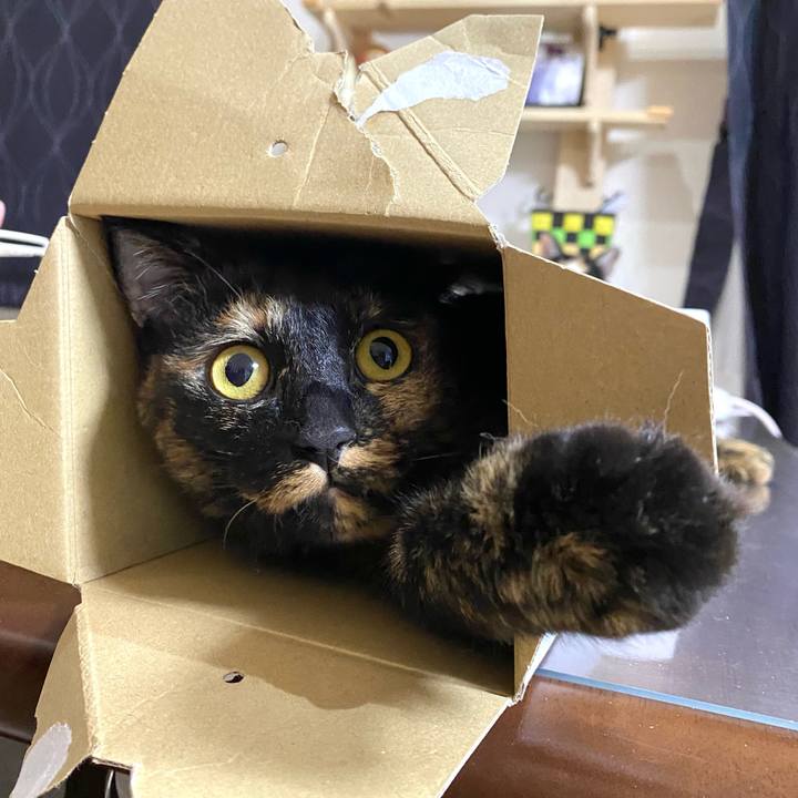 8c2de7b0 685a 4f19 adc4 c1d3fb2634a7 1637499293186