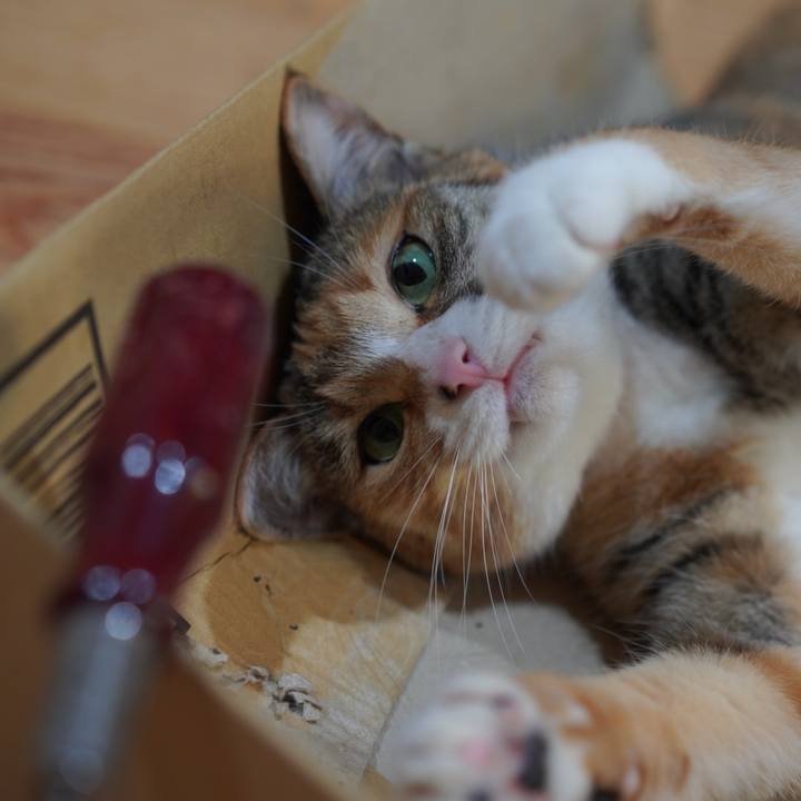 8c2e0f24 ec91 43e8 a8ac 2d77256b0831 1622300357858