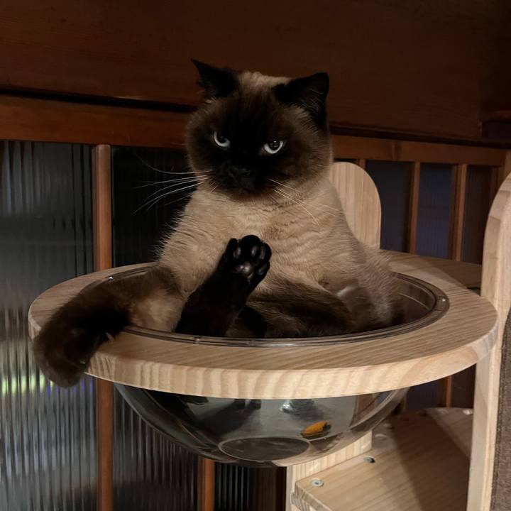 8c2e44cd 3347 4699 879f e26cc9e8ec17 1707732169561