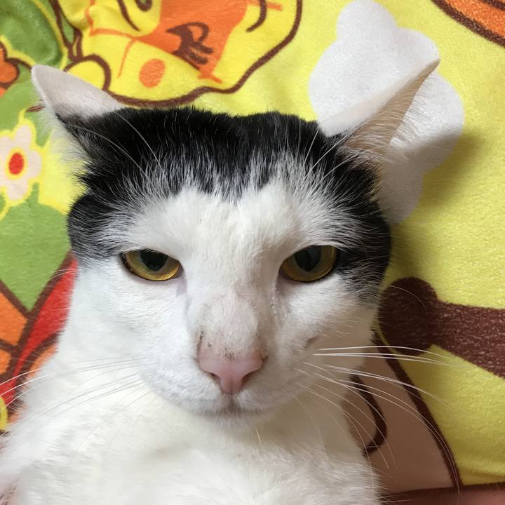 8c2e6dda 6f65 422b bb69 3cb6f6f86fce 1518795261333