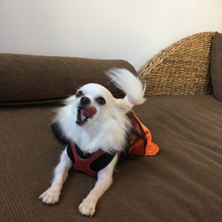 8c2eaba8 b84b 433c a279 73dc46abe621 1540026937044