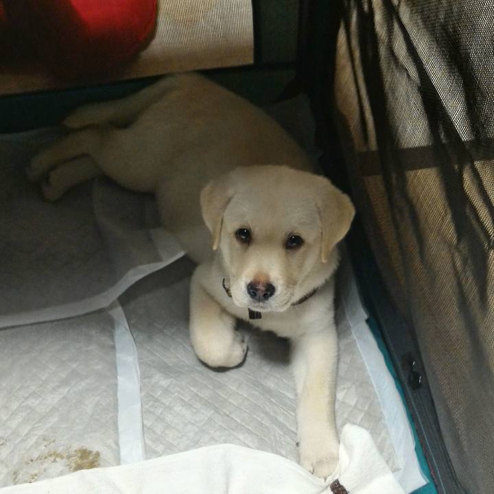 8c2eb5fe ea81 4aa6 ba6e 38bd8fce89fa 1567683661847