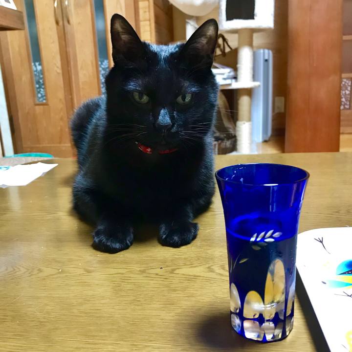 8c2ee6e6 89b6 4202 a4f7 3700f02fbe50 1523875336910