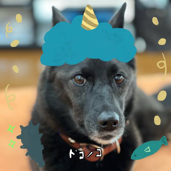 8c2f0cc1 d986 46b2 900e 2beb8c9bb69f 1706782136083