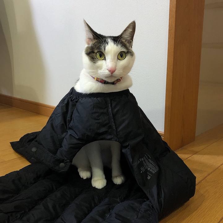 8c2f2b7b f91d 4809 9272 2dd6cbd1a0a5 1643544273381