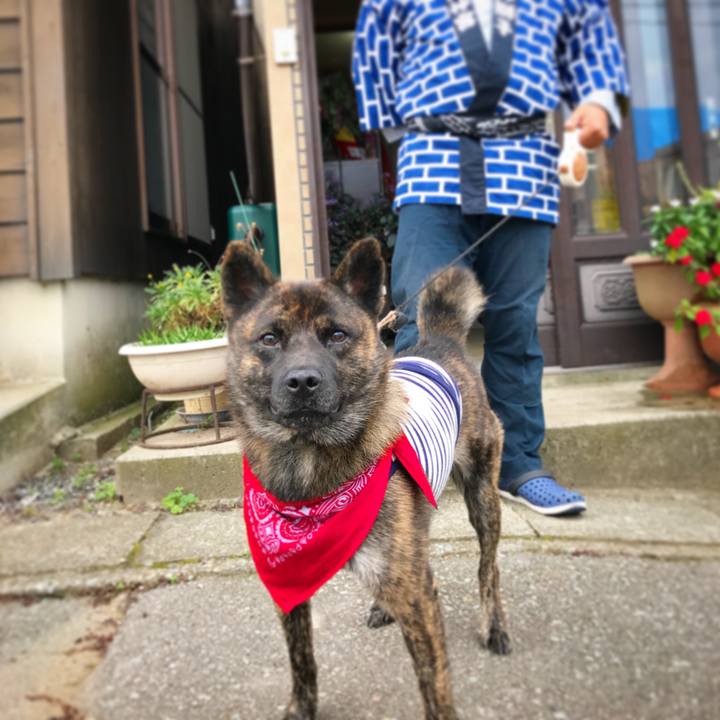 8c2f38dc c18a 4eda 926d 7f2e3e74e595 1508112907428