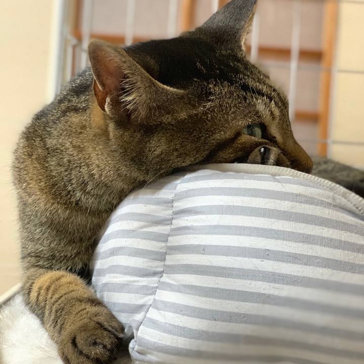 8c2f59bf 7d01 4dd7 99cd 3b632e88cd8d 1563497400081