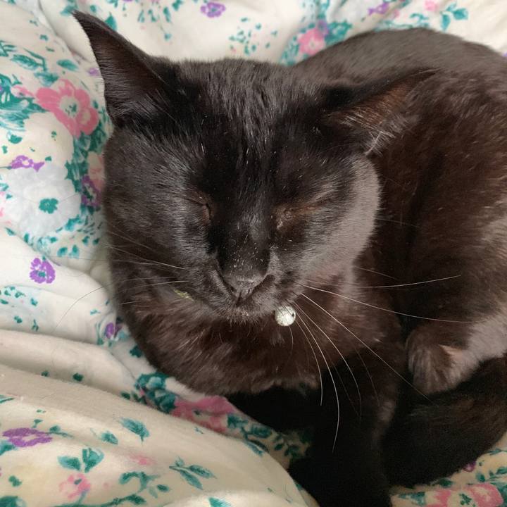 8c2f78fe ebd0 46bc a821 5895aa091032 1556623173119