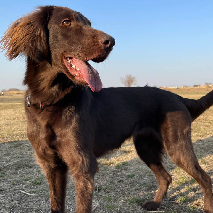 8c2f8116 5835 46b5 9b85 610ed30637bc 1613895598228