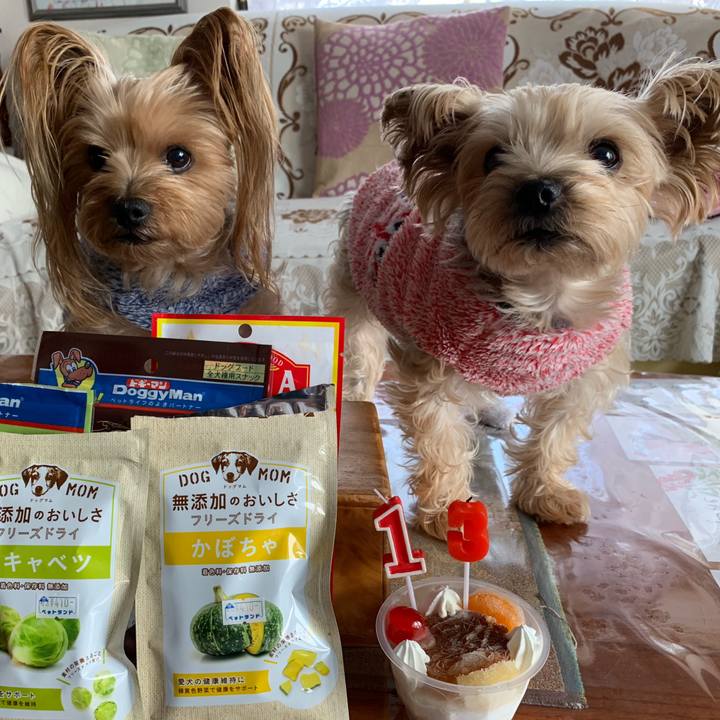 8c2fbc97 dc31 4f62 968e 4a8fcaa692b6 1547294410009