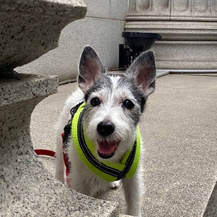 8c2fcc1b 86c1 433e baa1 97a4a41b0682 1594509857938