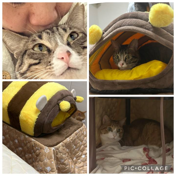 8c2fe5ad 54f3 445c 84bd 2cff3fd61ced 1767699026873