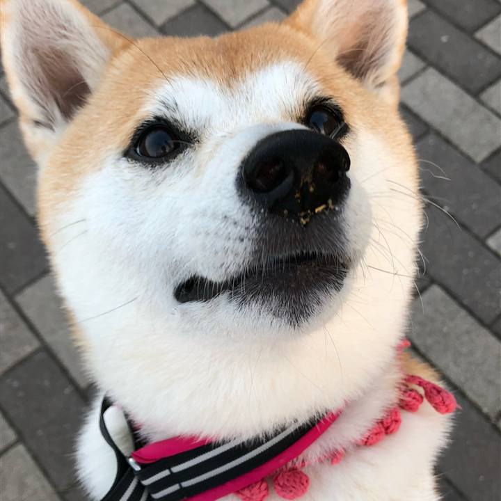 8c2fec87 d251 4ce3 9629 983aee11ef5d 1539045716163