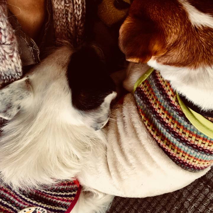 8c301ac6 99af 4476 ae33 0ff4ed38ead9 1511244330237