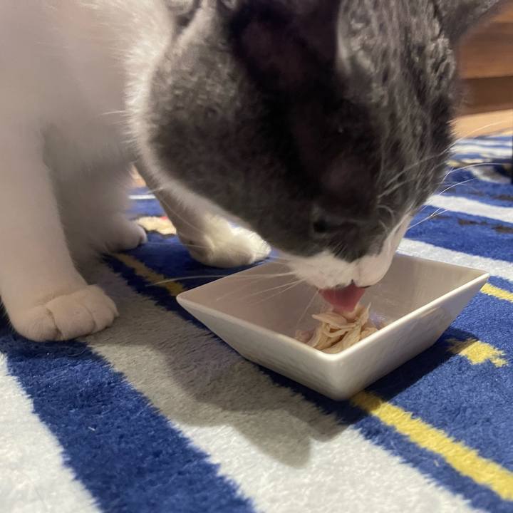 8c302175 f481 497b b487 9b48c5f7051d 1654083528822