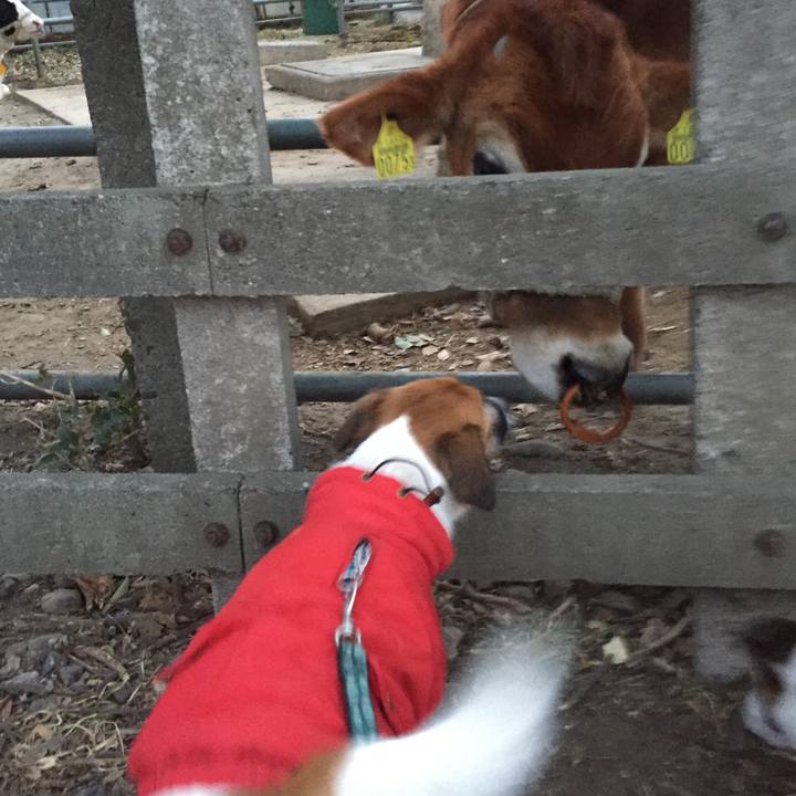 8c304159 60c6 4102 9e3a 413116c01cbd 1548660620117